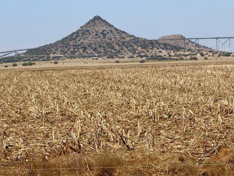 0 Bedroom Property for Sale in Bloemfontein Rural Free State